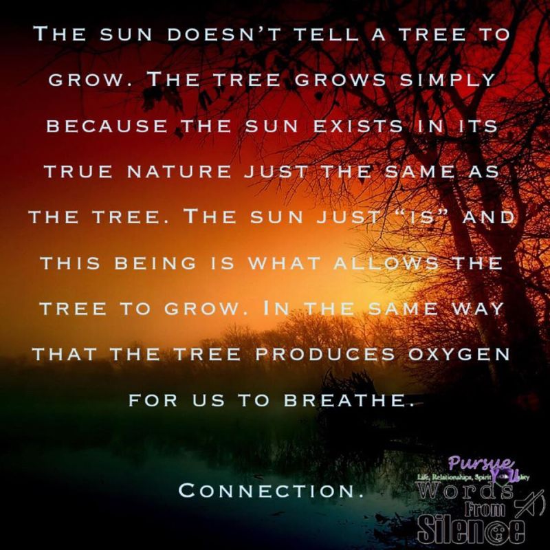 The Truth About&nbsp;Labels